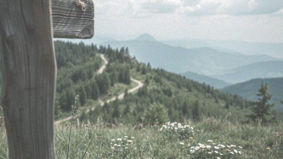 Jakie szlaki turystyczne warto przejść w Karpaczu?