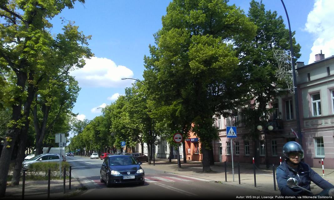 Bezpieczeństwo na drogach w Tomaszowie Mazowieckim: Wskazówki dla kierowców i pieszych