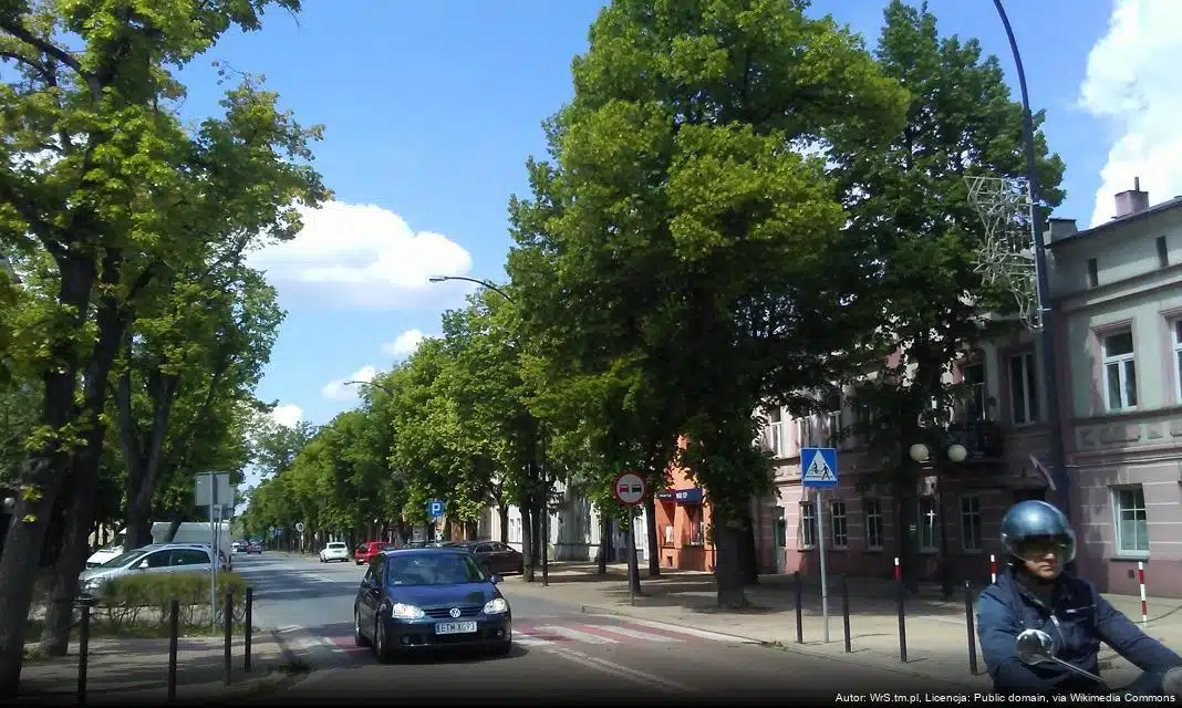 W Tomaszowie Mazowieckim rozpocznie się przebudowa ul. Orzeszkowej