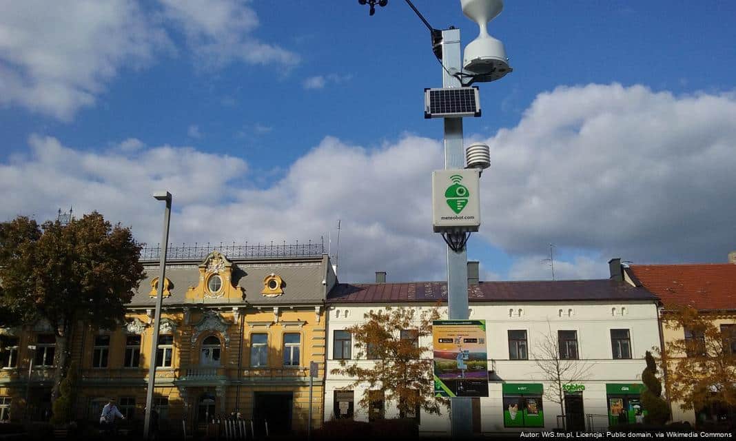 Nowi Radni W Młodzieżowej Radzie Miasta Tomaszowa Mazowieckiego